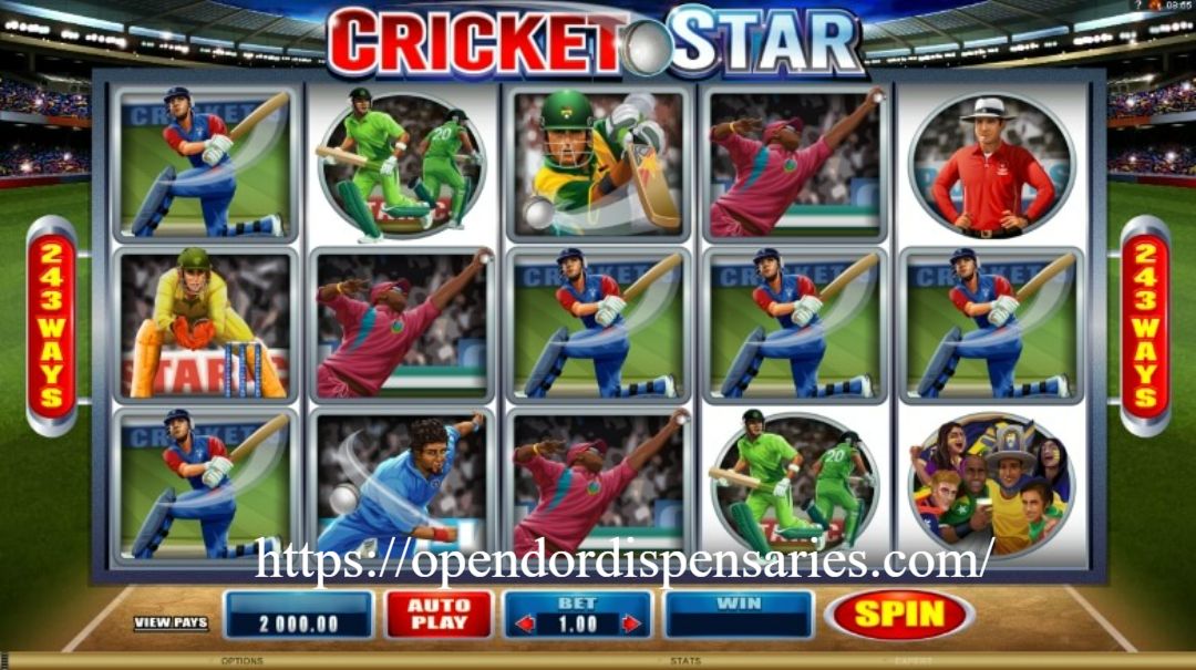 Read more about the article Cricket Star: Slot Kriket Penuh Aksi di Lapangan
